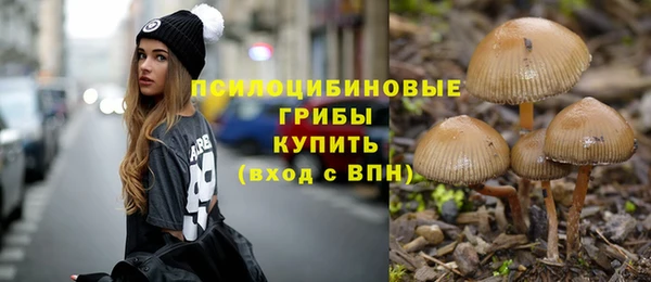 mix Белокуриха