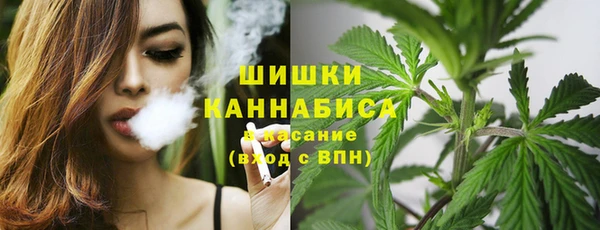 mix Белокуриха