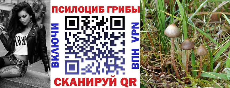 блэк спрут как зайти  Маркс  shop как зайти  продажа наркотиков  Галлюциногенные грибы GOLDEN TEACHER 